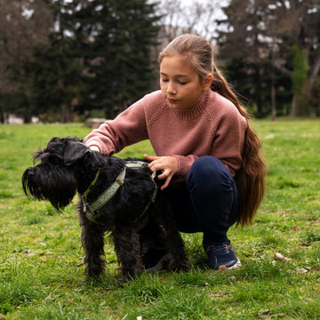 🐾 Healthy Habits for Happy Dogs