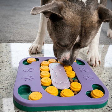 American Staffordshire eating from a purple and yellow dog puzzle sold by ThinkyPets 