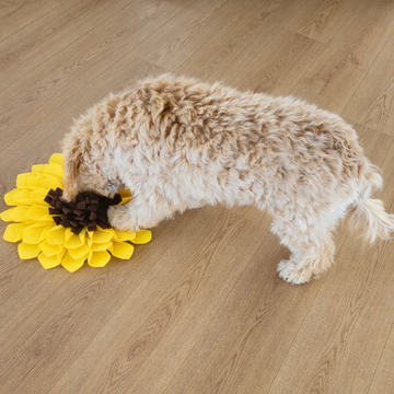 Scent Seekers (Sniff Mats and More)