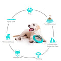 Dog with a toy and text highlighting features on a white background