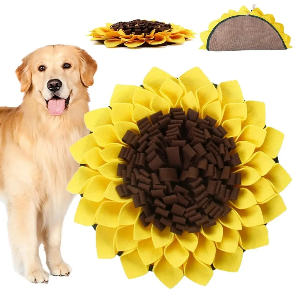 Sunflower-shaped pet toy with a dog next to it, showing different angles of the toy.