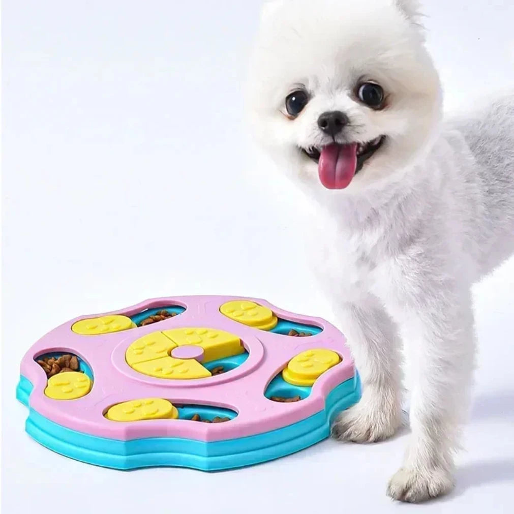 White dog with a colorful puzzle toy on a white background thinkypets store online