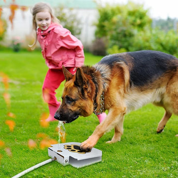 Dog drinking water from a pet fountain while a child watches outdoors.