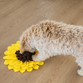 Dog playing with a yellow flower-shaped toy on a wooden floor
