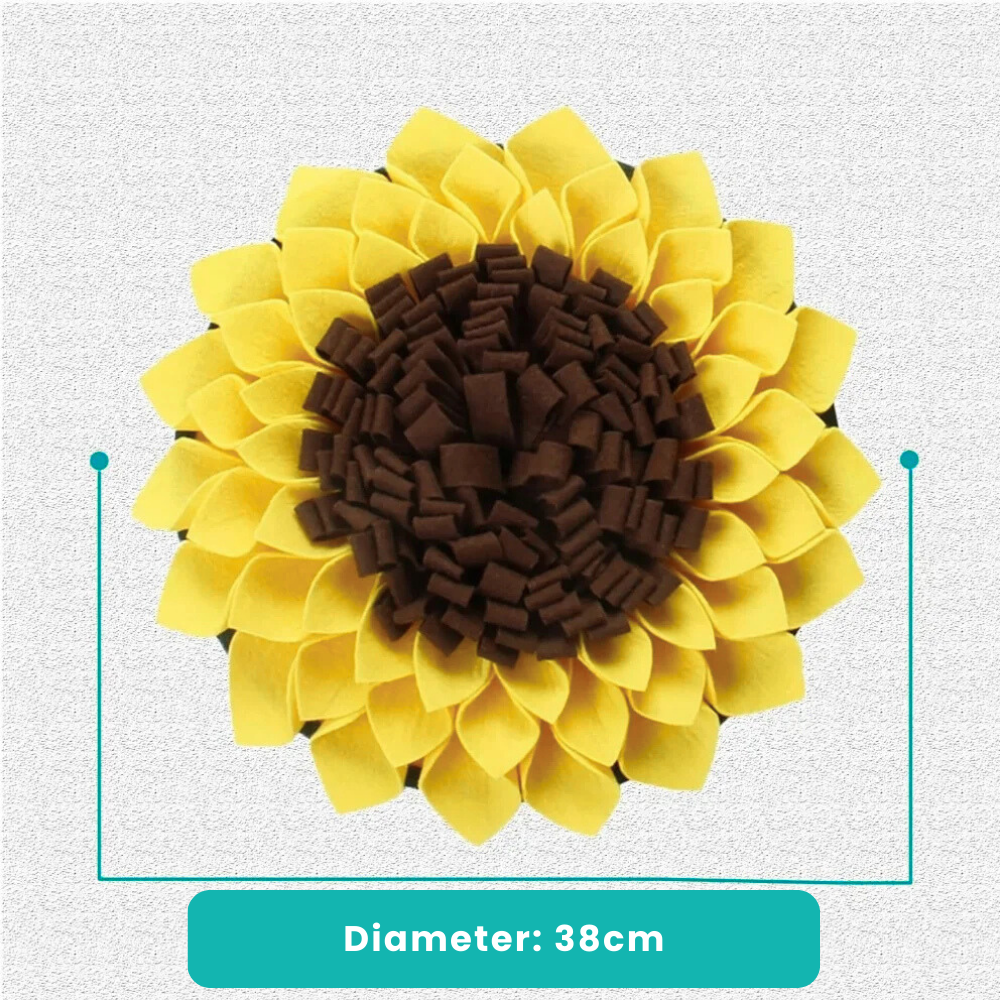 Dog sniffing mat in the shape of a sunflower
