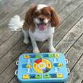 Dog with a puzzle toy on a wooden deck sold by ThinkyPets