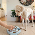 Dog interacting with a puzzle toy on a wooden floor.
