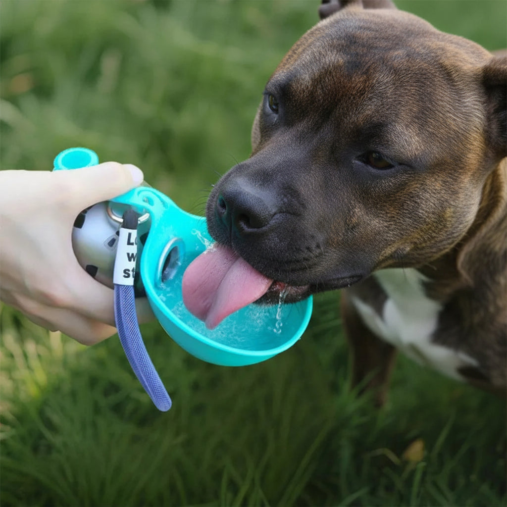 Dog drinking out of stainless steel with a blue toy held by a person outdoors
