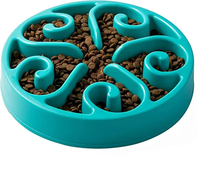 Turquoise slow feeder bowl with pet food inside on a white background