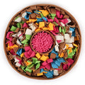 Colorful dog toy with a textured center on a white background sold by thinkypets