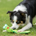 Green caterpillar-shaped dog toy with a dog playing with it on a white background from shop ThinkyPets
