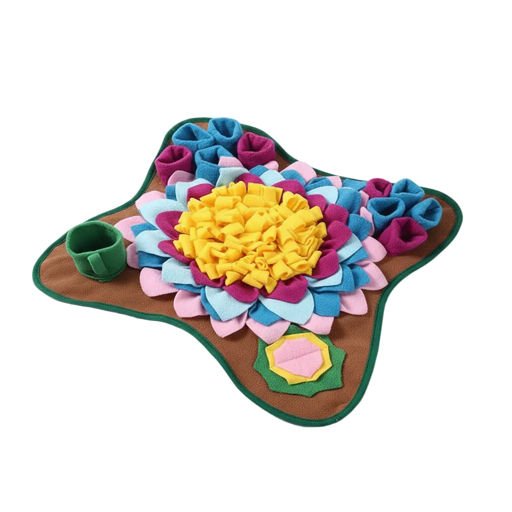 Dog sitting on a colorful pet mat with floral designs and a small cup. from shop ThinkyPets