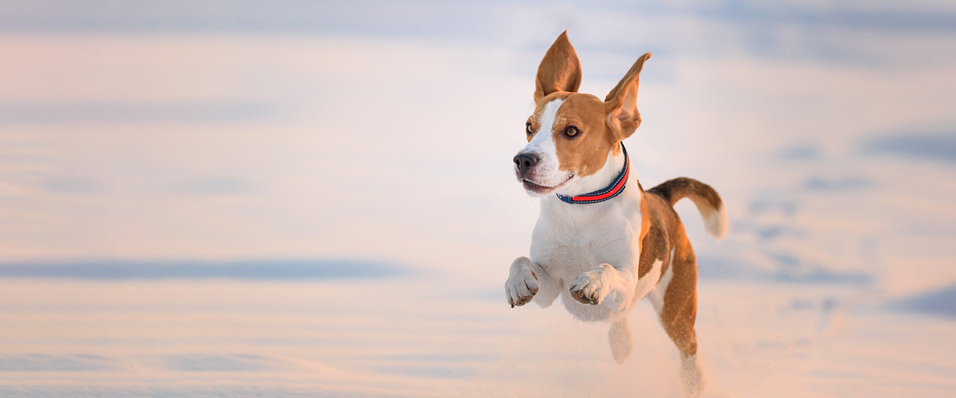 slider image 1621243260e1af0c20-0