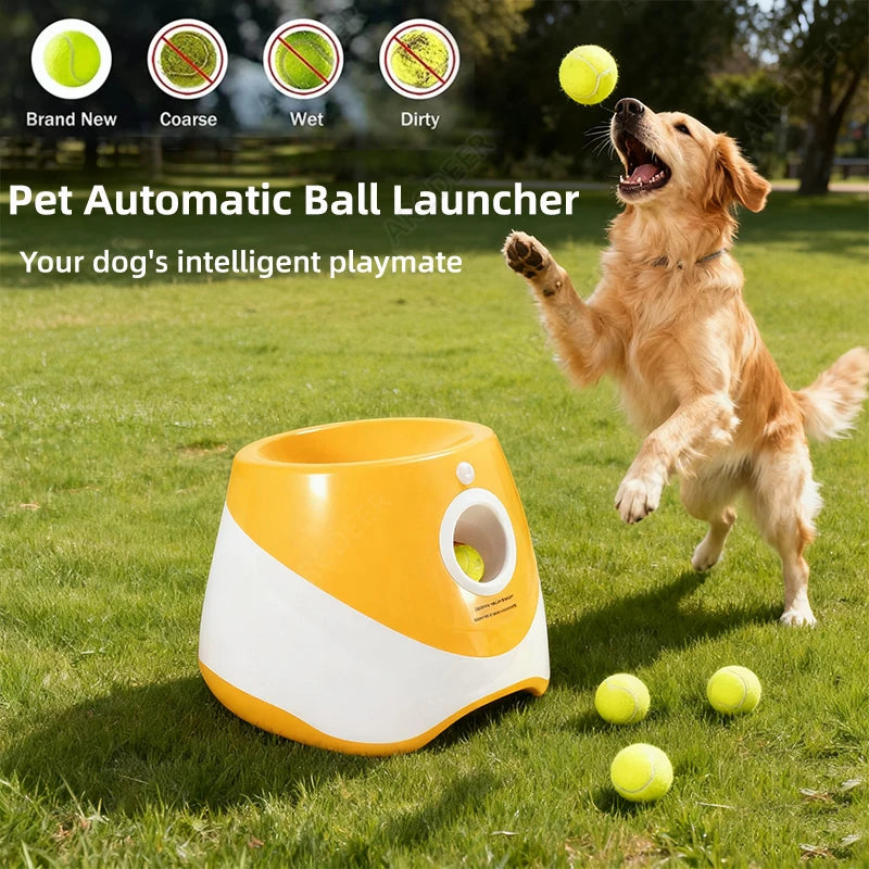 Pet Automatic Ball Launcher with a dog playing with balls in a grassy area