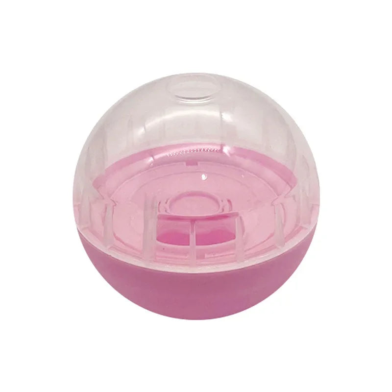 Dog playing with a transparent ball toy on a kitchen floor from ThinkyPets online store
