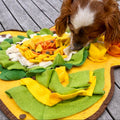 Cavoodle interacting with a colorful play mat on a wooden deck sold by ThinkyPets